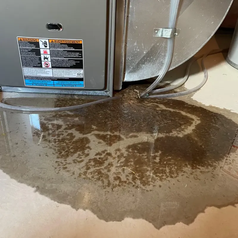 Appliance Leak Cleanup in Alfred, ME